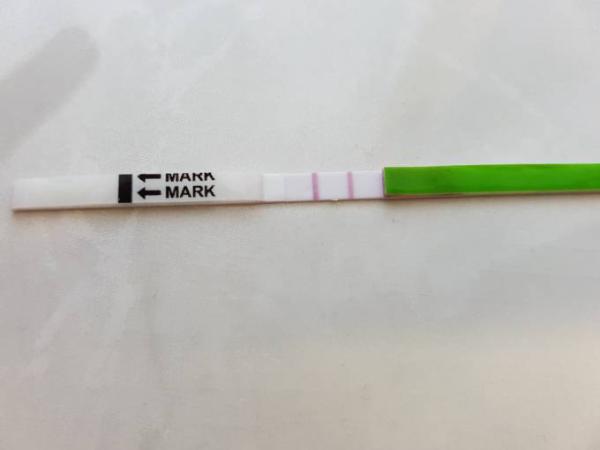Bild zu Blutung wieder weg, doch zum FÄ? - Kinderwunsch - bitte noch ein Baby