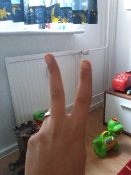 Bild zu 
