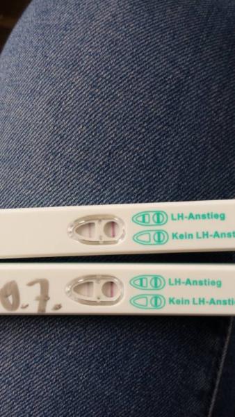 Bild zu Ovus mal getestet....jetzt überfragt - Kinderwunsch - bitte noch ein Baby