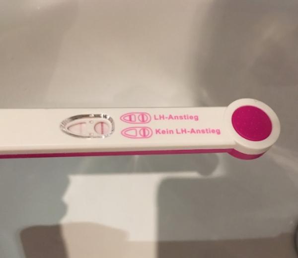 Bild zu Ovu - Test positiv ? - Kinderwunsch - bitte noch ein Baby