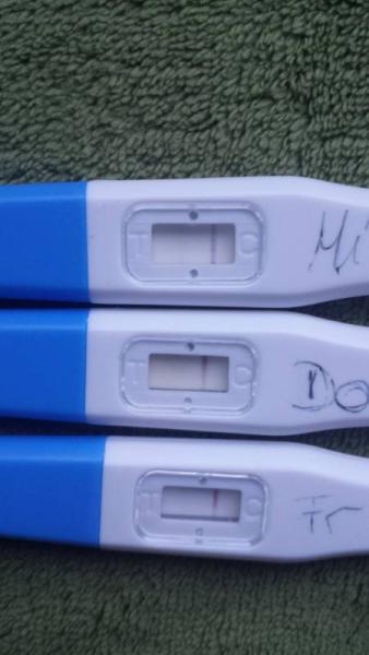 Bild zu Müsste nicht was passieren? - Kinderwunsch - bitte noch ein Baby