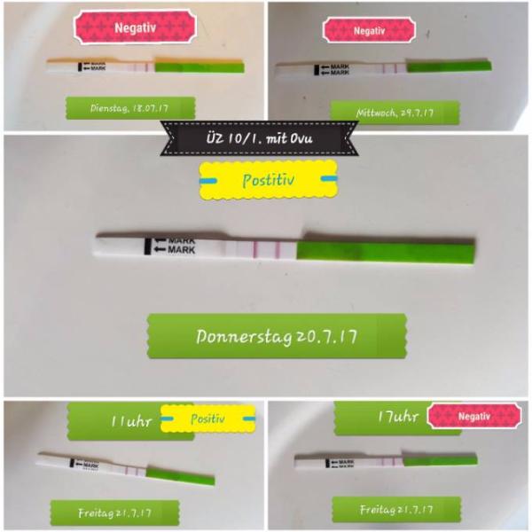Bild zu Ovu verwirrt.... - Kinderwunsch - bitte noch ein Baby