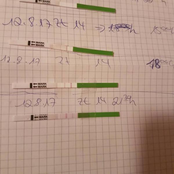 Bild zu Ovu endlich positiv ?? - Kinderwunsch - bitte noch ein Baby