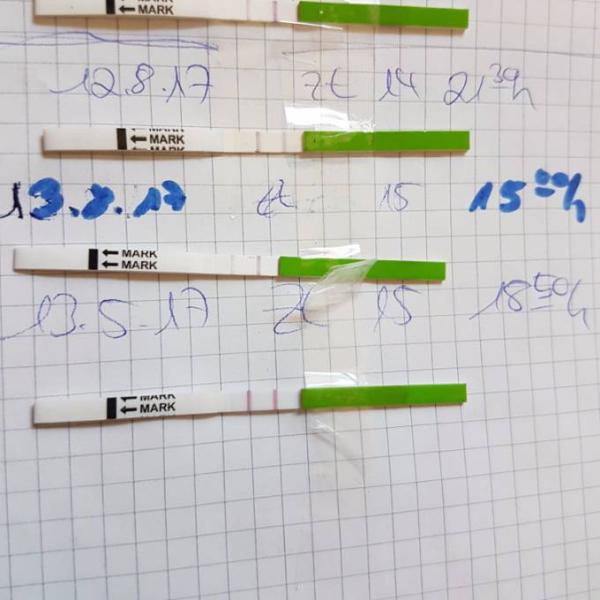 Bild zu Zwei Abende positive ovu ? - Kinderwunsch - bitte noch ein Baby