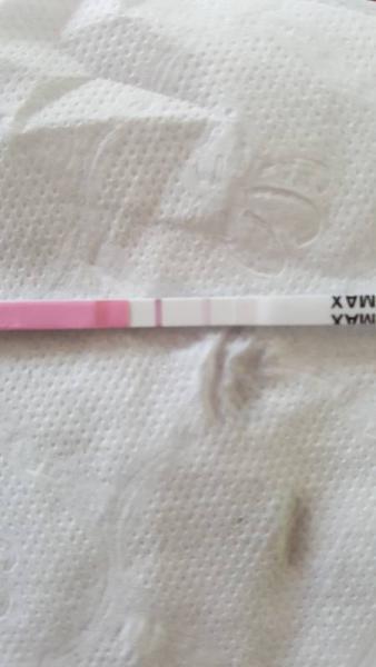Bild zu OVU test - Kinderwunsch - bitte noch ein Baby