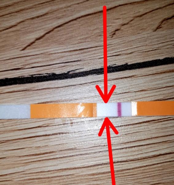 Bild zu Seht ihr auch was ? 4 Tage vor Periode hibbeln :/ - Kinderwunsch - bitte noch ein Baby