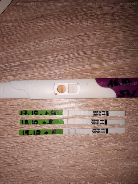 Bild zu Wieder schwanger? - Kinderwunsch - bitte noch ein Baby