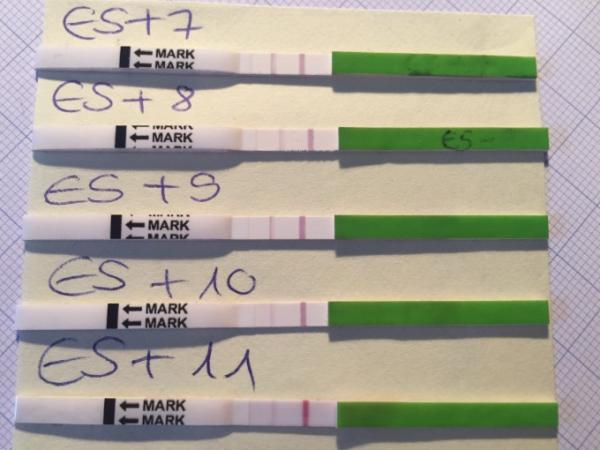 Bild zu Ich habe auch mal orakelt! - Kinderwunsch - bitte noch ein Baby