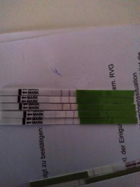 Bild zu 