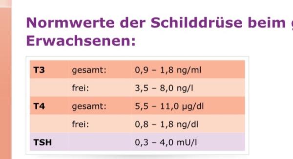 Bild zu 