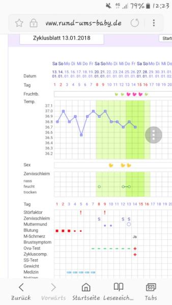 Bild zu Positiver Test 😎 - Kinderwunsch - bitte noch ein Baby