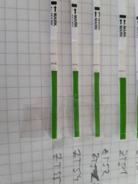 Bild zu Ovulationstest - Positiv? - Kinderwunsch - bitte noch ein Baby