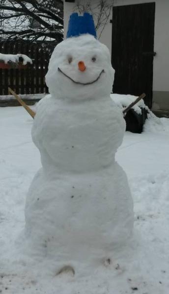 Bild zu 