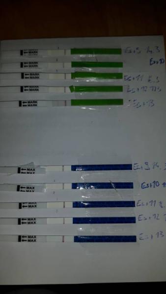 Bild zu Ovu Orakel positiv, ss test negativ? - Kinderwunsch - bitte noch ein Baby