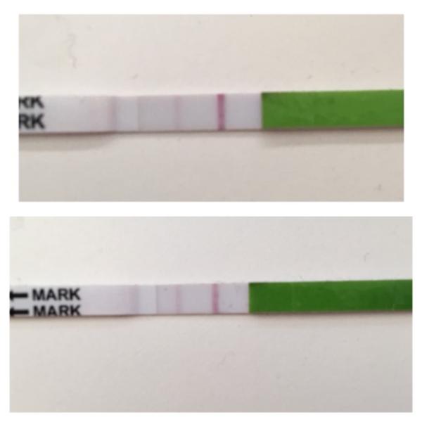 Bild zu 2. Urin - Kinderwunsch - bitte noch ein Baby
