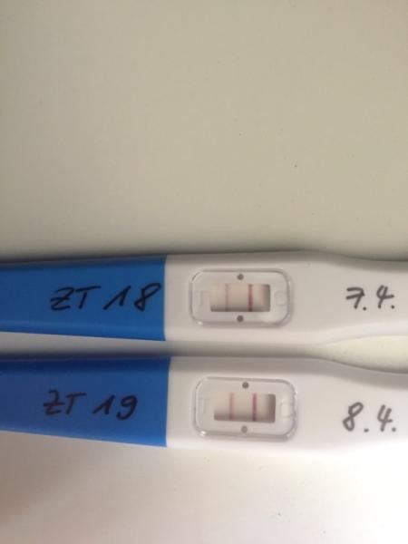 Bild zu Expertinnen gefragt - Orakel - Kinderwunsch - bitte noch ein Baby