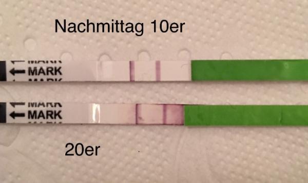 Bild zu Wem soll ich glauben? - Kinderwunsch - bitte noch ein Baby