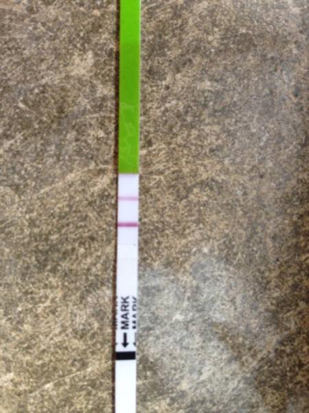 Bild zu Eisprung verpasst? - Kinderwunsch - bitte noch ein Baby