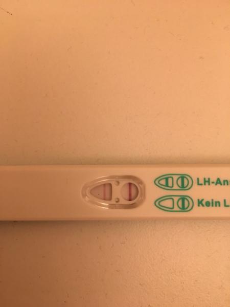 Bild zu Ovu Experten gefragt - Kinderwunsch - bitte noch ein Baby