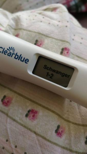 Bild zu Beitrag von gestern - Kinderwunsch - bitte noch ein Baby