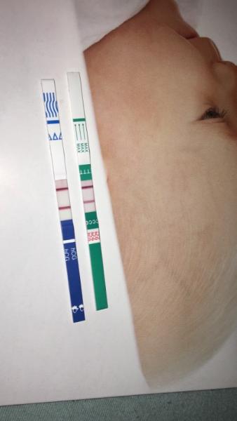 Bild zu Schwanger 🤰🏻 - Kinderwunsch - bitte noch ein Baby