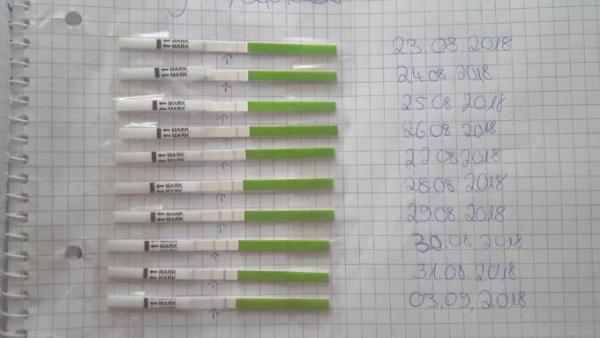 Bild zu Unterleibsschmerzen, gelblicher Ausfluss - Kinderwunsch - bitte noch ein Baby