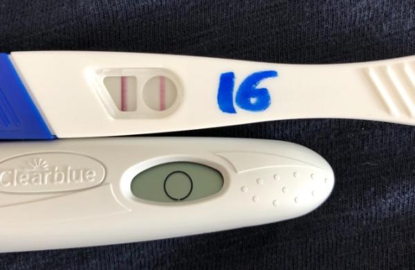 Bild zu Hilfe bei meinen Ovus - Kinderwunsch - bitte noch ein Baby