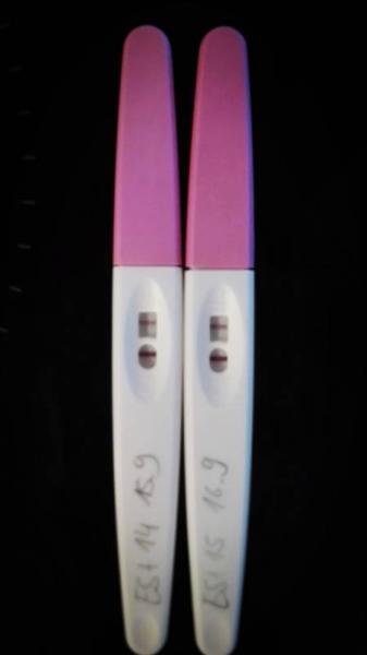 Bild zu Test nmt+1 - Kinderwunsch - bitte noch ein Baby