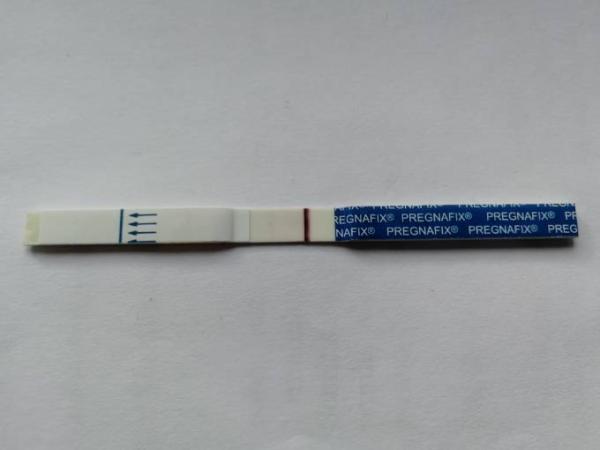 Bild zu SST negativ/positiv??? - Kinderwunsch - bitte noch ein Baby