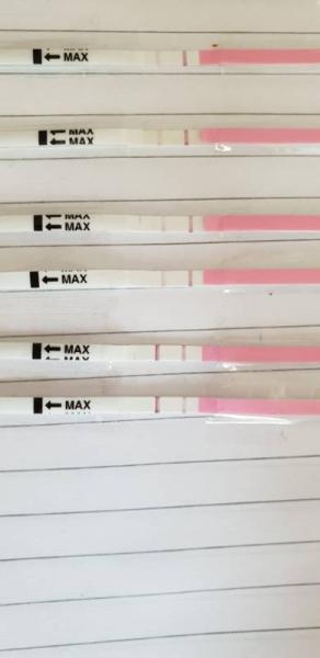 Bild zu Habe orakelt: Ovu's fett positiv - SS test negativ.. Was ist hier los?! - Kinderwunsch - bitte noch ein Baby