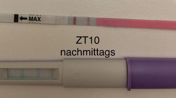 Bild zu Oooh,ich freu mich gerade so - Kinderwunsch - bitte noch ein Baby