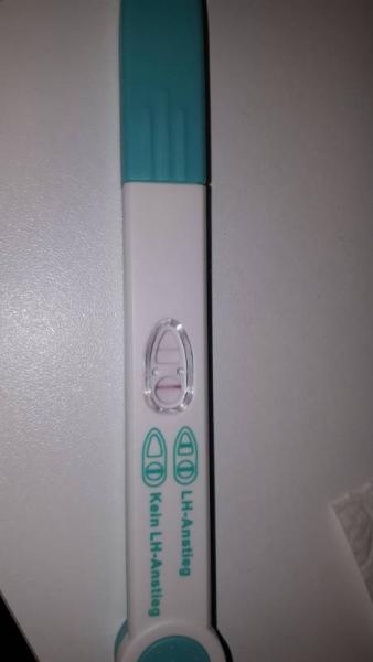 Bild zu ovu Test - Kinderwunsch - bitte noch ein Baby