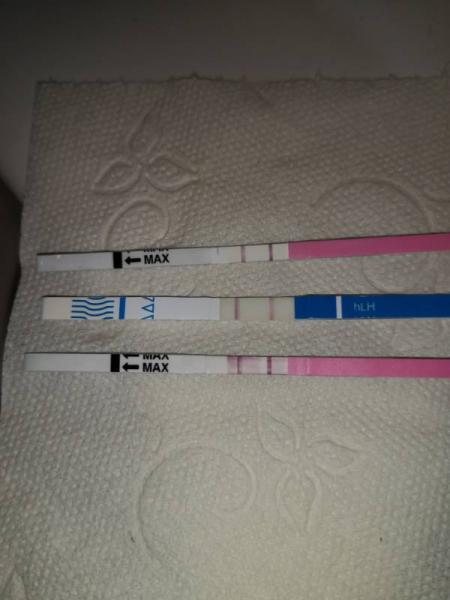 Bild zu Nach positiven ovu wan ES? - Kinderwunsch - bitte noch ein Baby
