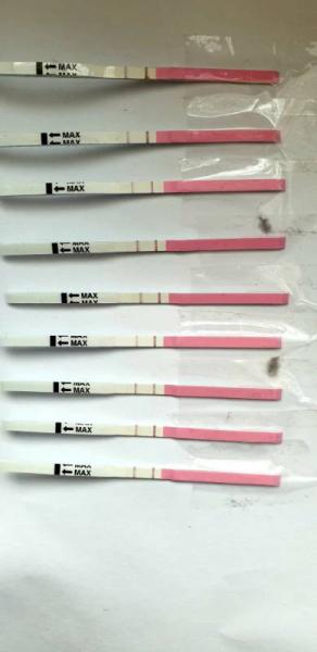 Bild zu Ovulationstest machen mich fertig wer kann helfen - Kinderwunsch - bitte noch ein Baby