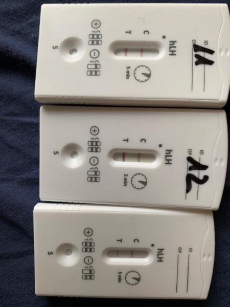 Bild zu Bitte um Hilfe bei ovu test .... - Kinderwunsch - bitte noch ein Baby