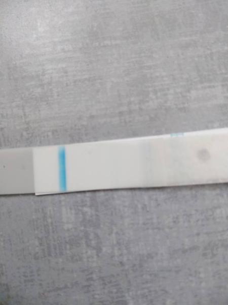 Bild zu Schwanger werden - Kinderwunsch - bitte noch ein Baby