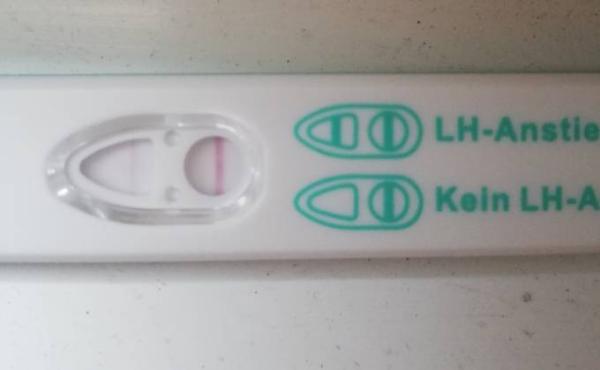 Bild zu Ovo test - Kinderwunsch - bitte noch ein Baby