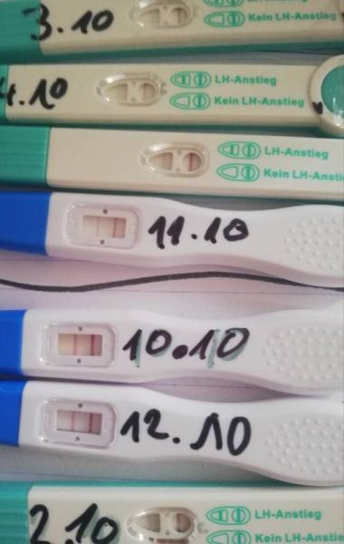 Bild zu Meine test vom 2 bis heute - Kinderwunsch - bitte noch ein Baby