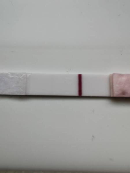 Bild zu Facelle Stick bitte schauen.. - Kinderwunsch - bitte noch ein Baby