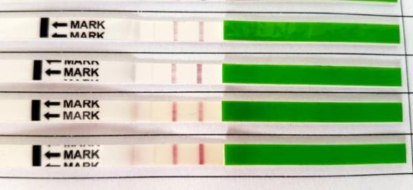 Bild zu Stricheraten mit Ovutests :-/ - Kinderwunsch - bitte noch ein Baby