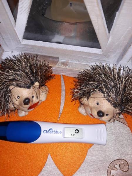 Bild zu Clearblu digital am ES+12 - Kinderwunsch - bitte noch ein Baby