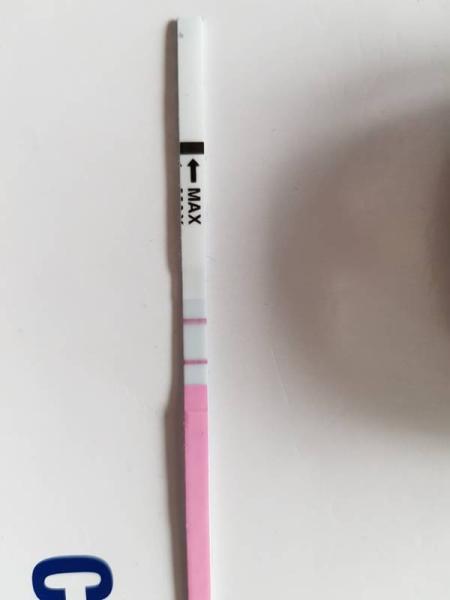 Bild zu Ovu-Tests verwirren mich - Kinderwunsch - bitte noch ein Baby