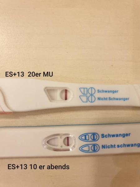 Bild zu ES+13 zart positiv - Kinderwunsch - bitte noch ein Baby