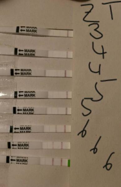 Bild zu positiver ovu-test? - Kinderwunsch - bitte noch ein Baby