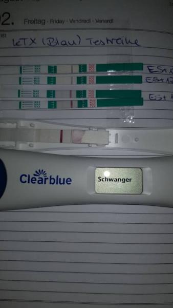 Bild zu Sehr schwache Linie ES+13 - Kinderwunsch - bitte noch ein Baby