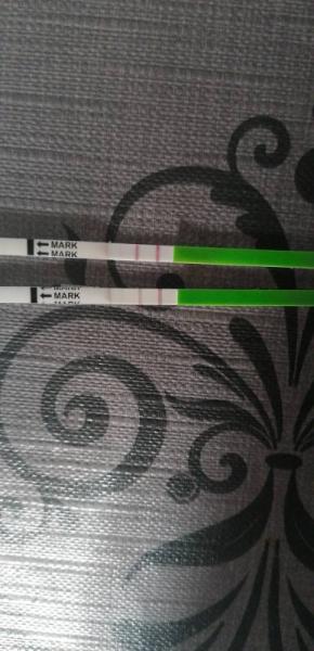 Bild zu Ovulationstest - Kinderwunsch - bitte noch ein Baby