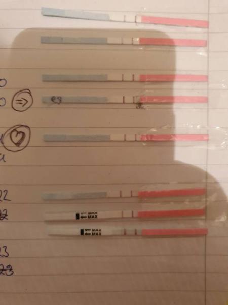 Bild zu Ovus seid 3 Tagen Positiv - Kinderwunsch - bitte noch ein Baby