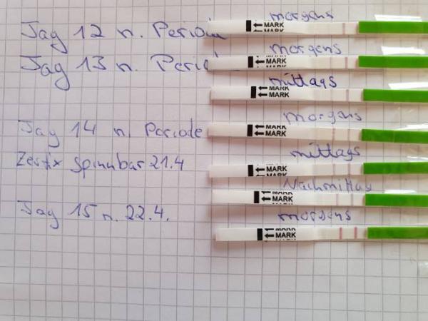 Bild zu Ovutest positiv? - Kinderwunsch - bitte noch ein Baby