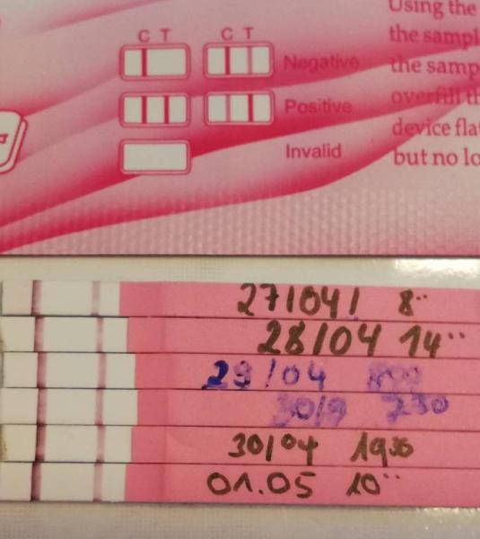 Bild zu Ovulationstest widersprüchlich - Kinderwunsch - bitte noch ein Baby