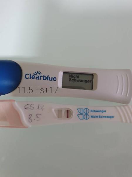 Bild zu SST an ES+17 DIGI neg. Anderer pos Helft mir - Kinderwunsch - bitte noch ein Baby